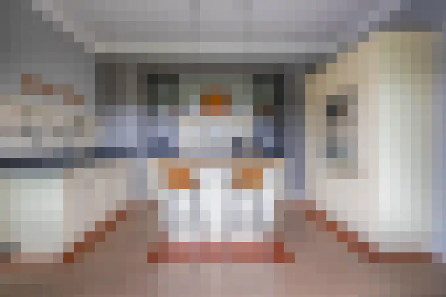 Bosbergstraat 39 Lomm thumbnail 13