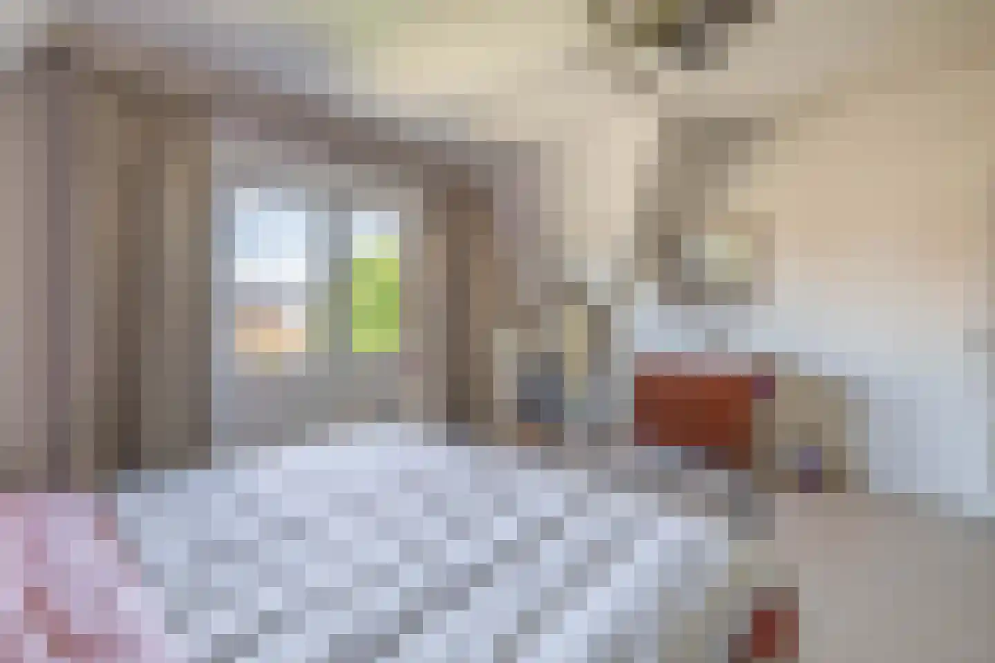 Bosbergstraat 39 Lomm thumbnail 22