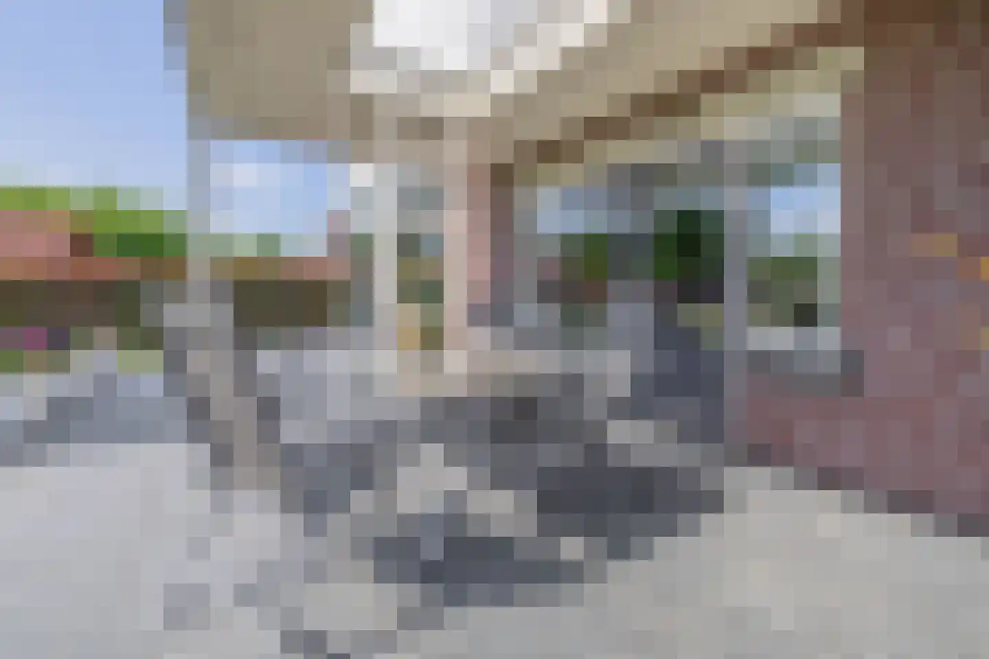 Bosbergstraat 39 Lomm thumbnail 24