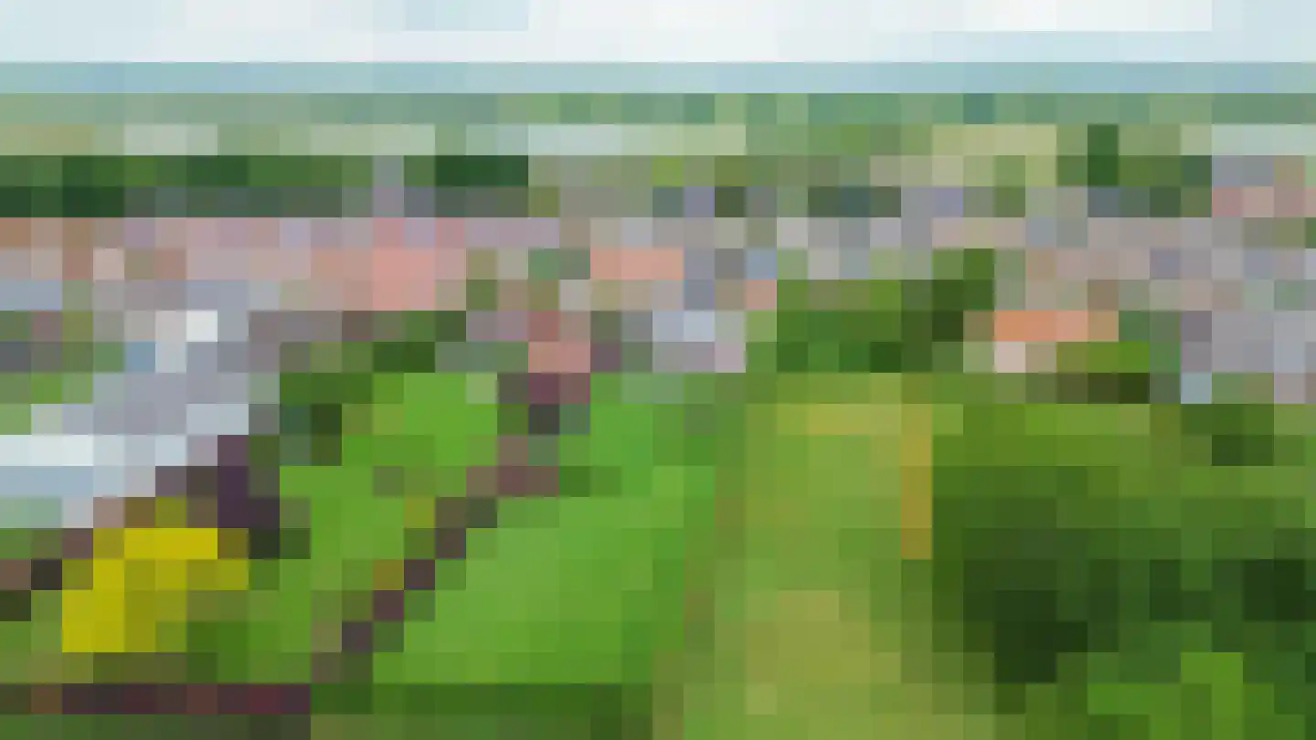 Bosbergstraat 39 Lomm thumbnail 33