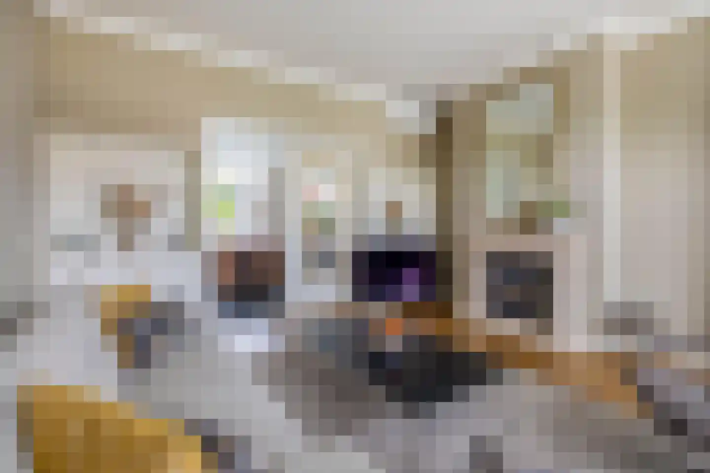 Bosbergstraat 39 Lomm thumbnail 8