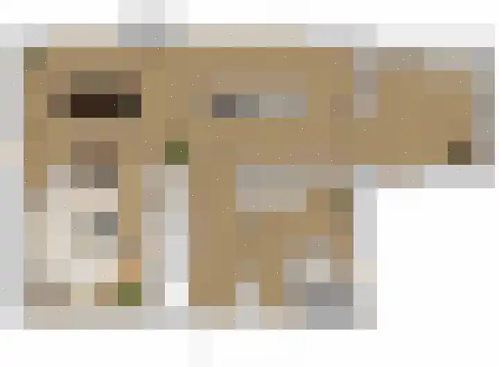 Bosbes 2 Someren thumbnail 5