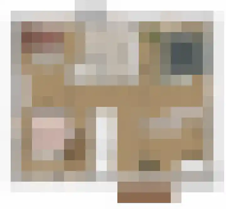 Bosbes 2 Someren thumbnail 6