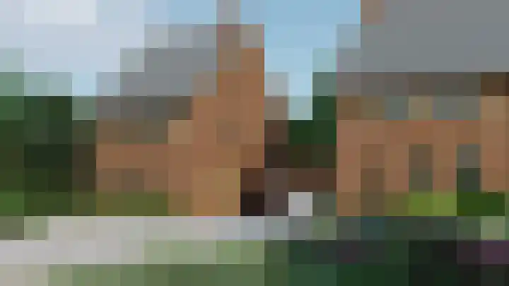 Bosbes 5 Someren thumbnail 4