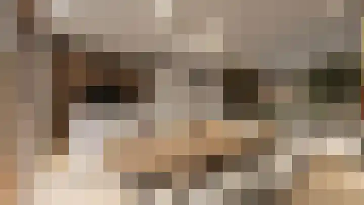Bosbes 5 Someren thumbnail 6