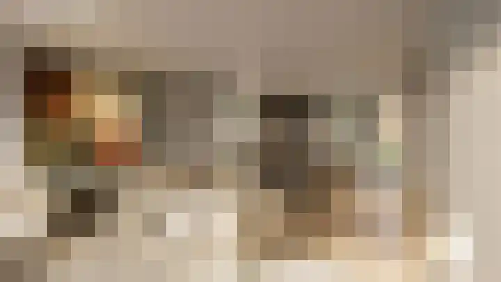 Bosbes 5 Someren thumbnail 9