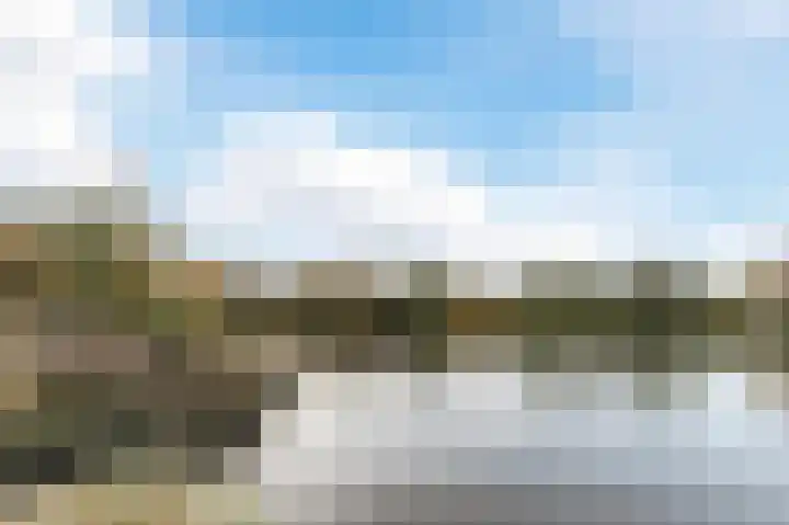 Bosboompad 13 Rosmalen thumbnail 21