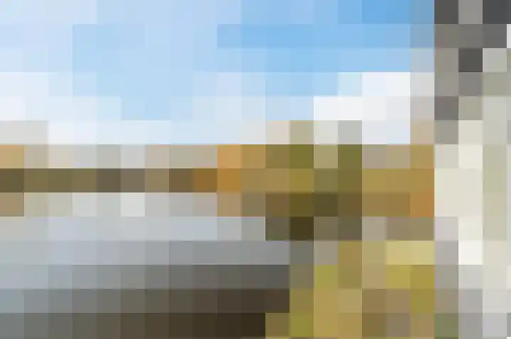 Bosboompad 13 Rosmalen thumbnail 22