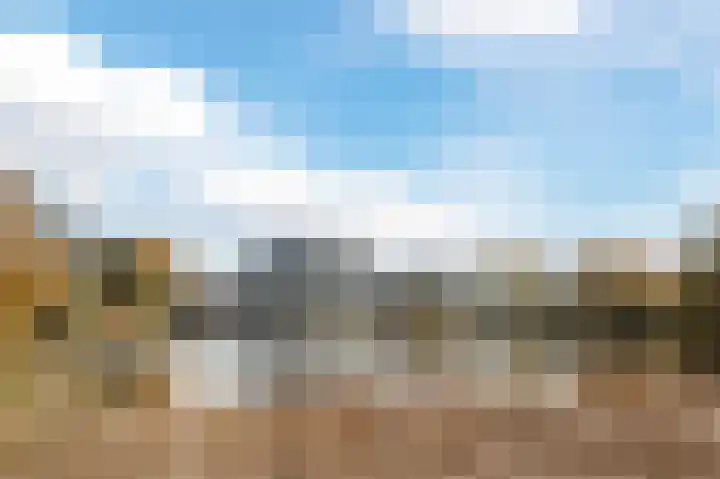 Bosboompad 13 Rosmalen thumbnail 37