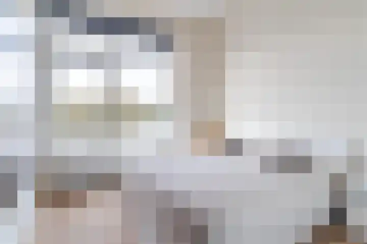 Bosboompad 13 Rosmalen thumbnail 6
