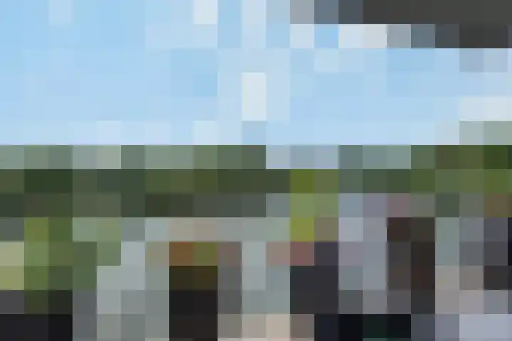 Bosboompad 27 Rosmalen thumbnail 10
