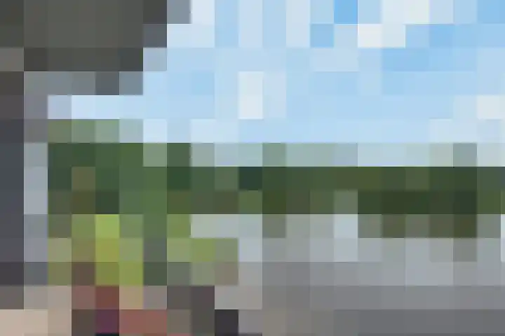 Bosboompad 27 Rosmalen thumbnail 11