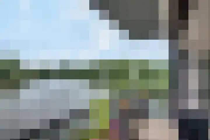 Bosboompad 27 Rosmalen thumbnail 12