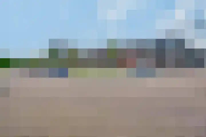 Bosboompad 27 Rosmalen thumbnail 26
