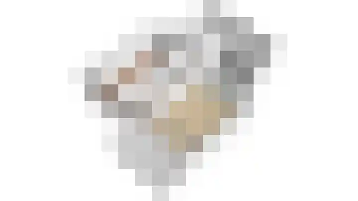 Bosboompad 27 Rosmalen thumbnail 28