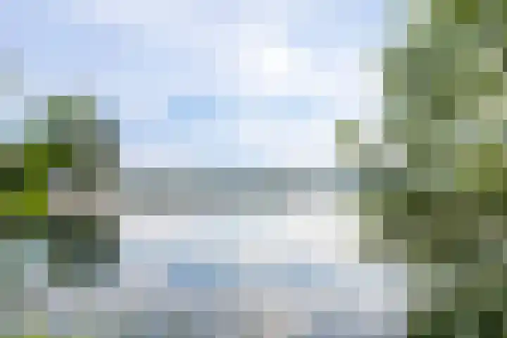 Bosboompad 44 Rosmalen thumbnail 30