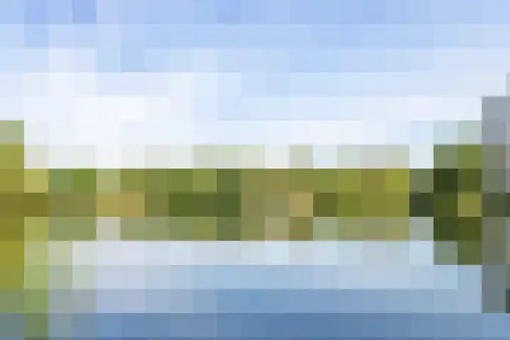 Bosboompad 44 Rosmalen thumbnail 31
