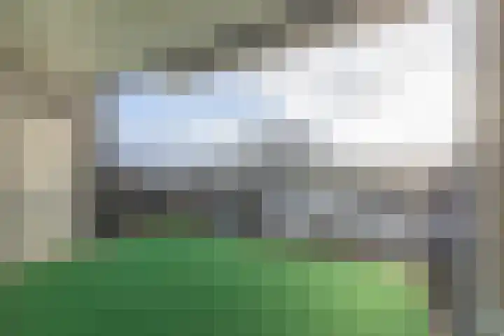 Bosboompad 44 Rosmalen thumbnail 8