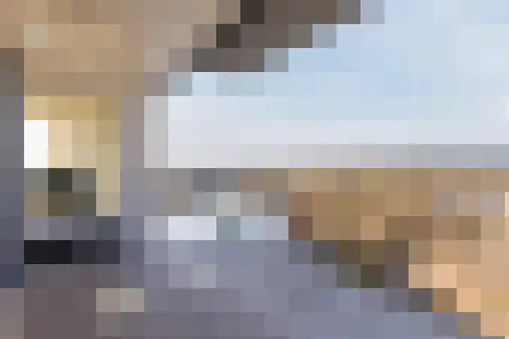 Bosboompad 55 Rosmalen thumbnail 21