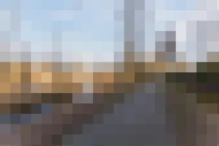 Bosboompad 55 Rosmalen thumbnail 23
