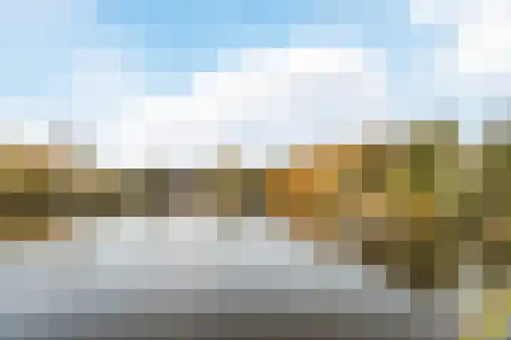Bosboompad 55 Rosmalen thumbnail 28