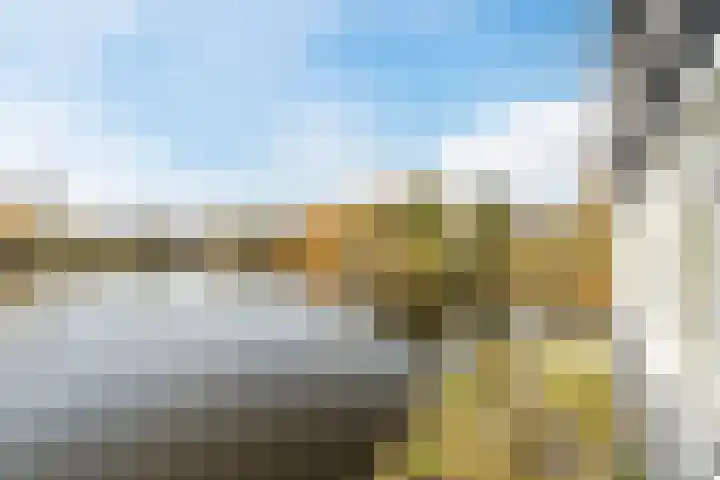 Bosboompad 55 Rosmalen thumbnail 29