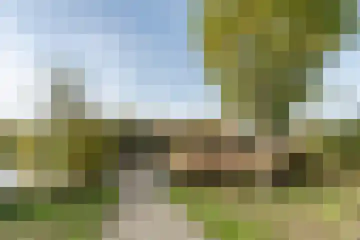 Bosboompad 55 Rosmalen thumbnail 32