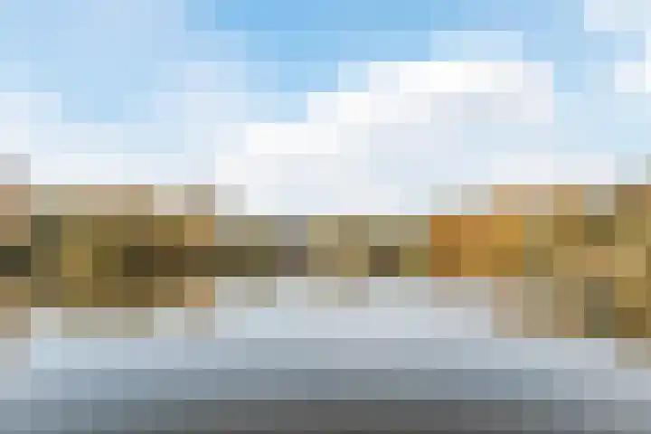 Bosboompad 55 Rosmalen thumbnail 35