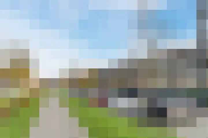 Bosboompad 55 Rosmalen thumbnail 36