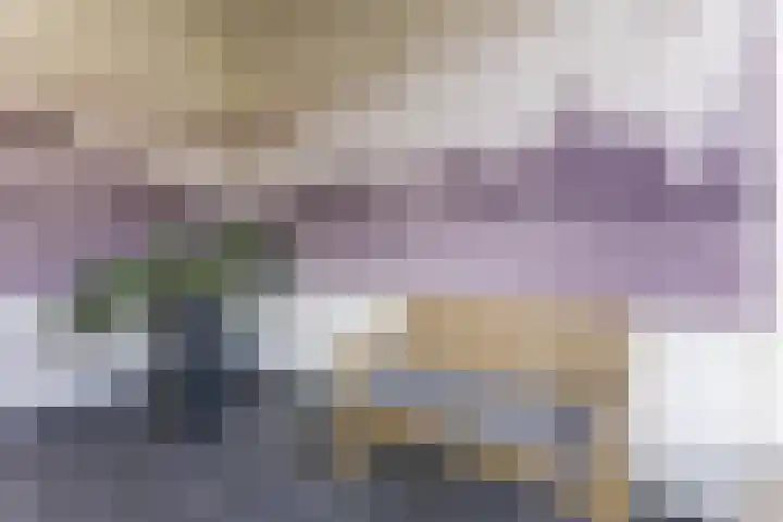 Bosboompad 55 Rosmalen thumbnail 4