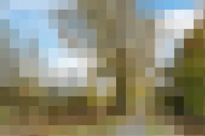 Bosboompad 55 Rosmalen thumbnail 41