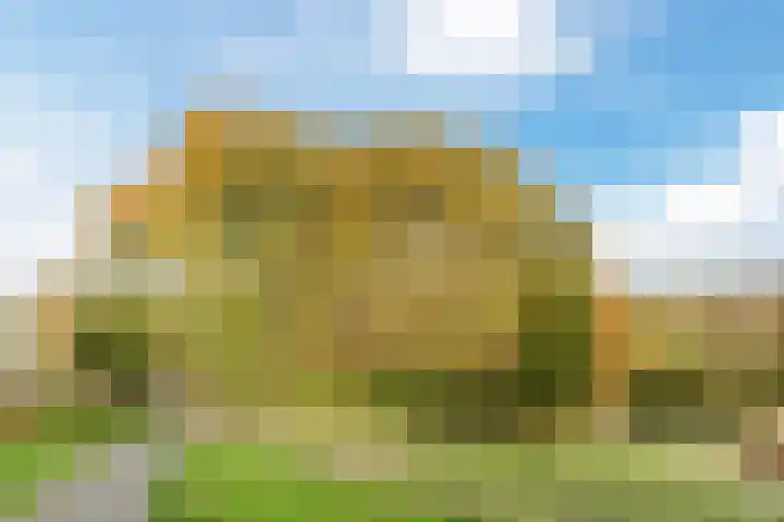 Bosboompad 55 Rosmalen thumbnail 42