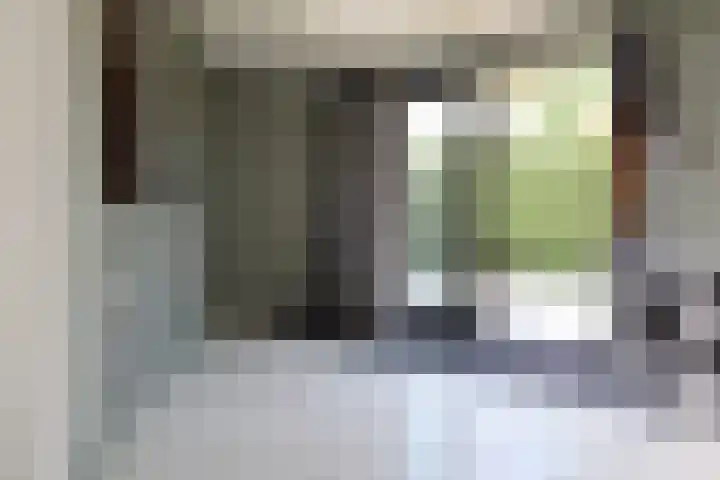 Bosboomplantsoen 44 Oosterhout thumbnail 10