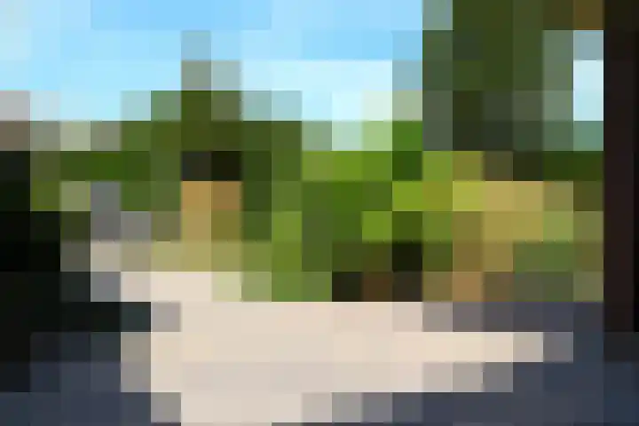 Bosboomplantsoen 44 Oosterhout thumbnail 13