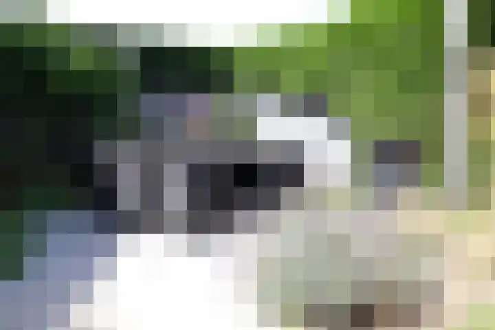 Bosboomplantsoen 44 Oosterhout thumbnail 15
