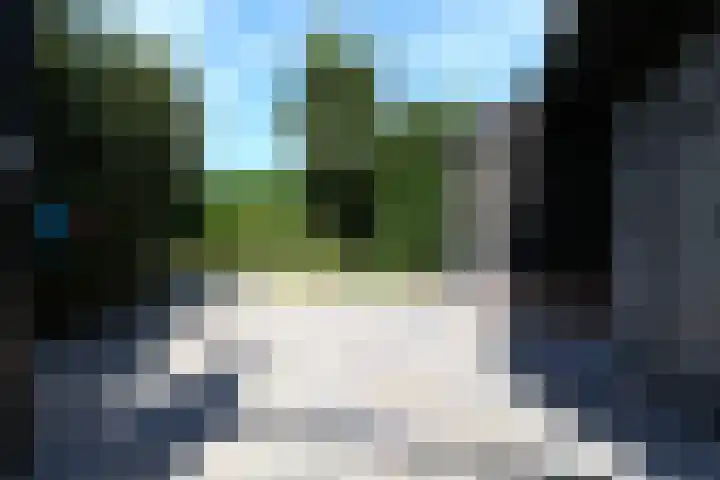 Bosboomplantsoen 44 Oosterhout thumbnail 18