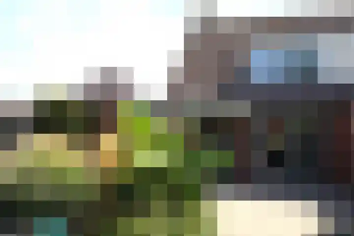 Bosboomplantsoen 44 Oosterhout thumbnail 21