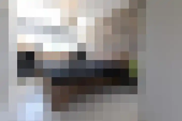 Bosboomplantsoen 44 Oosterhout thumbnail 23