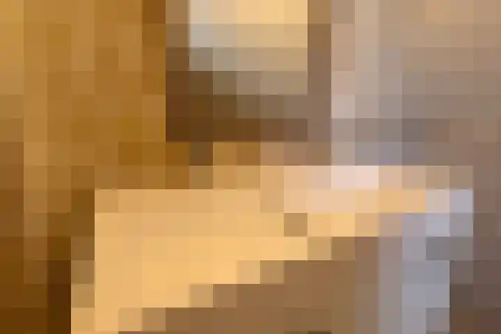 Bosboomplantsoen 44 Oosterhout thumbnail 25