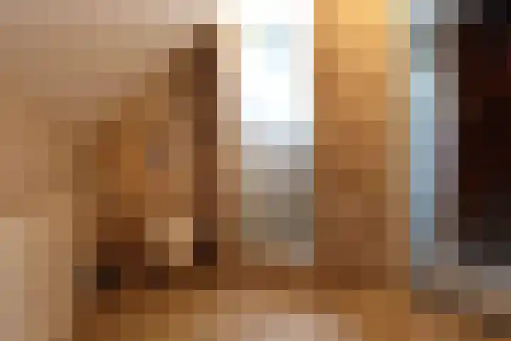 Bosboomplantsoen 44 Oosterhout thumbnail 26