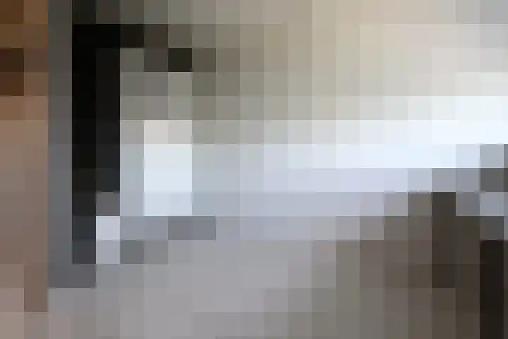 Bosboomplantsoen 44 Oosterhout thumbnail 28