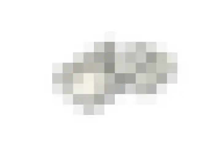 Bosboomplantsoen 44 Oosterhout thumbnail 39