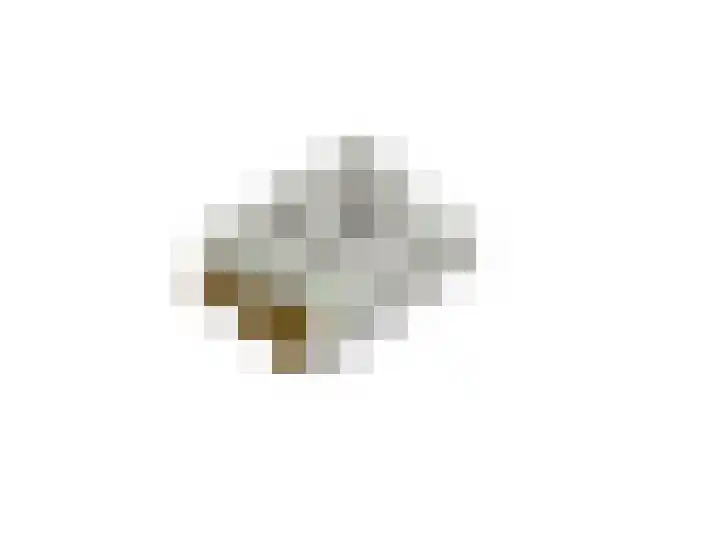 Bosboomplantsoen 44 Oosterhout thumbnail 40