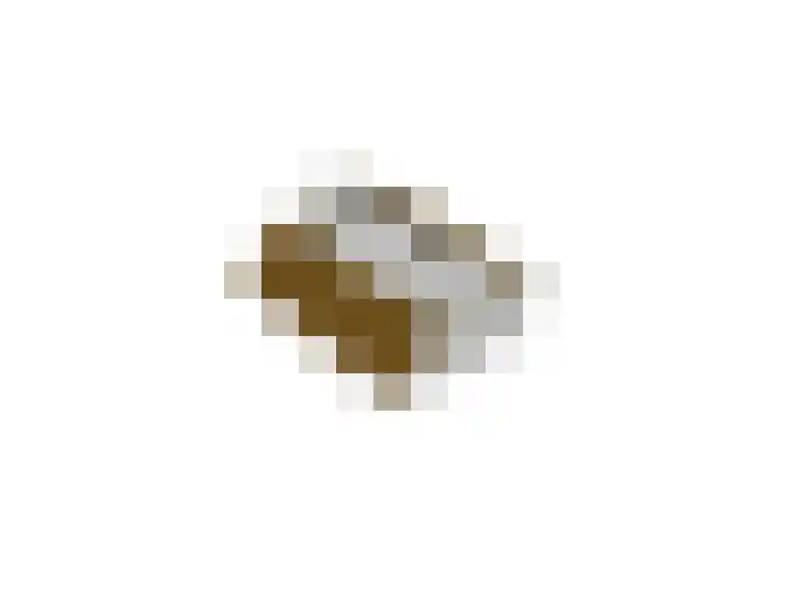 Bosboomplantsoen 44 Oosterhout thumbnail 47
