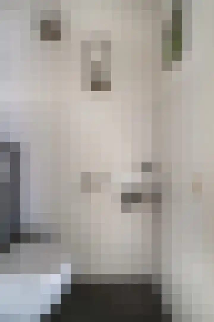 Bosboomstraat 2 Duiven thumbnail 10
