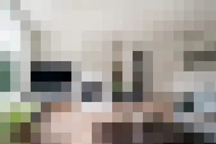 Bosboomstraat 2 Duiven thumbnail 17