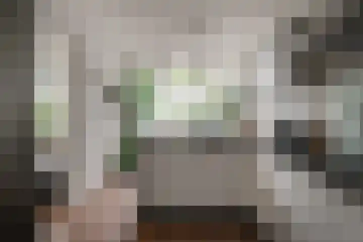 Bosboomstraat 2 Duiven thumbnail 21