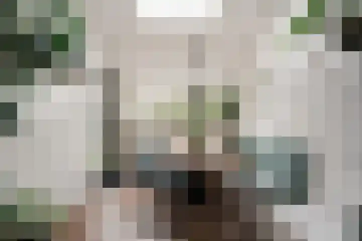 Bosboomstraat 2 Duiven thumbnail 23