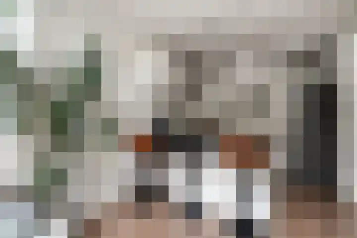 Bosboomstraat 2 Duiven thumbnail 24