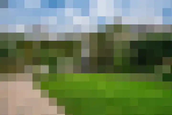Bosboomstraat 2 Duiven thumbnail 26